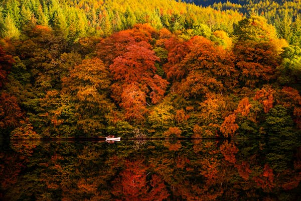 UK Scotland Perthshire Scotlands scenery shutterstock1836838660 RFC