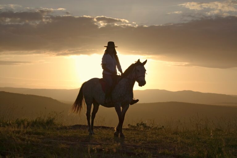 getty horse sunset